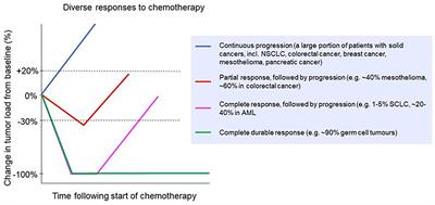 Cancer chemotherapy: insights into cellular and tumor microenvironmental mechanisms of action